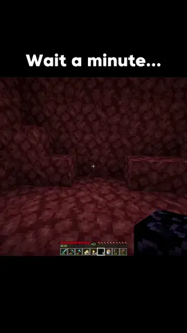 Where did he come from😭 #Minecraft #minecraftmemes #minecraftmeme 