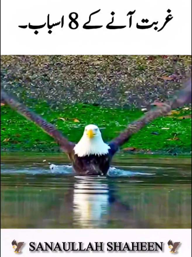 #creatorsearchinsights #attitudestatus🔥🔥 #pppppppppppppppp #onemillionaudtion #room 