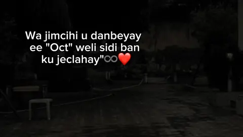 ❤️. #owl #hanatt_said 