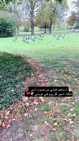 #CapCut #viral #video 