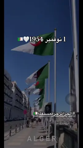 #الجزائر #creatorsearchinsights 🇩🇿🤍💚🥺😍❤️🕊️#اكسبلور #الشعب_الصيني_ماله_حل😂😂 #abonné_tchouf_jdid🇩🇿🇲🇦🇹🇳😍 