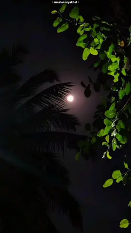 ځینئ وخت د یوئ روغي مڼي شاته طرف اکثر سوري وئ .🙌                 #foryou #pashto #pashtopoetry #repost #i9ote1 #unfreezemyacount 