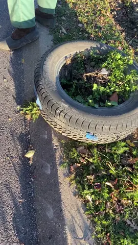 Moje nisu ni za cveće 😂 #balkan #tiktok #funny #zatebe #zimskegume 