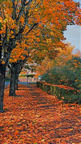 #its_k6 #its_k66 #its_k666 #idooo #idoo_ 