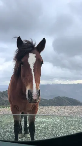 🤍  #fyb #pourtoi #fouryou #algeria #chrea 