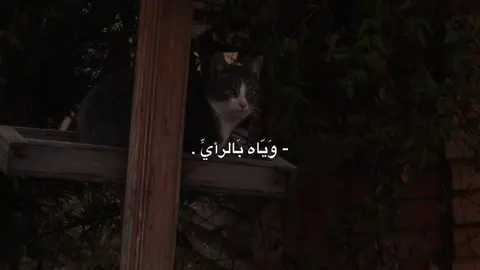 الانِسّان بَس أخْتِلفتُ وَيّاه بَالرأيِّ . #احمد_الوائلي #شيعة_علي_الكرار #تصميمي #لايك_متابعه_اكسبلور #fyp 