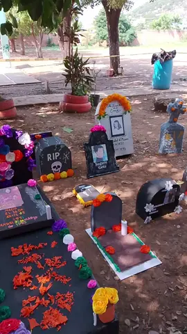 q pedo con los de mi escuela 💀