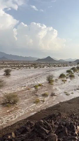 #صدقة_جارية #أستغفر_الله_العظيم_واتوب_إليه #أكتب_شي_توجر_عليه #اللهم_صل_وسلم_على_نبينا_محمد 