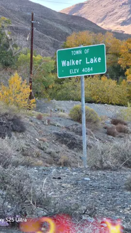 #tiktok #sidebyside #journey #adventure 