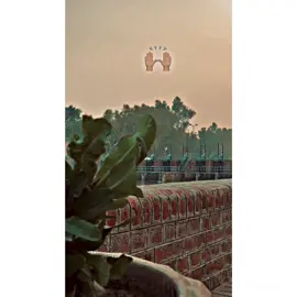 Munafiq log🙌🏼😮‍💨💯#fyppp #foryoupage #foryouuu 