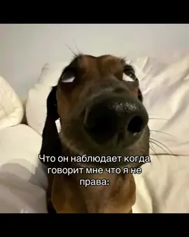 #рекомендации #explore #р_е_к_о_м_и_н_д_а_ц_и_и #популярное #глобальныерекомендации #рек #врек #щп 