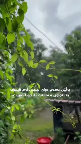 هه‌میشه متمانه‌ت به خودا هه‌بێت #foryou #fyp #خودایە_لێمان_خۆشبە_اللهم_امین #الله #ایمان 