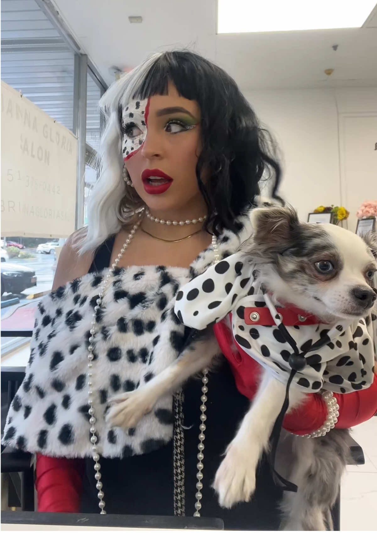 #fyp #halloweencostume #chihuahua #hairsalon 