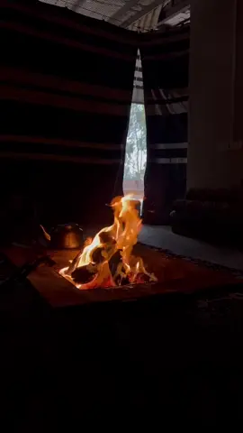 #اكسبلور #مهذل_الصقور #explore #شعر 