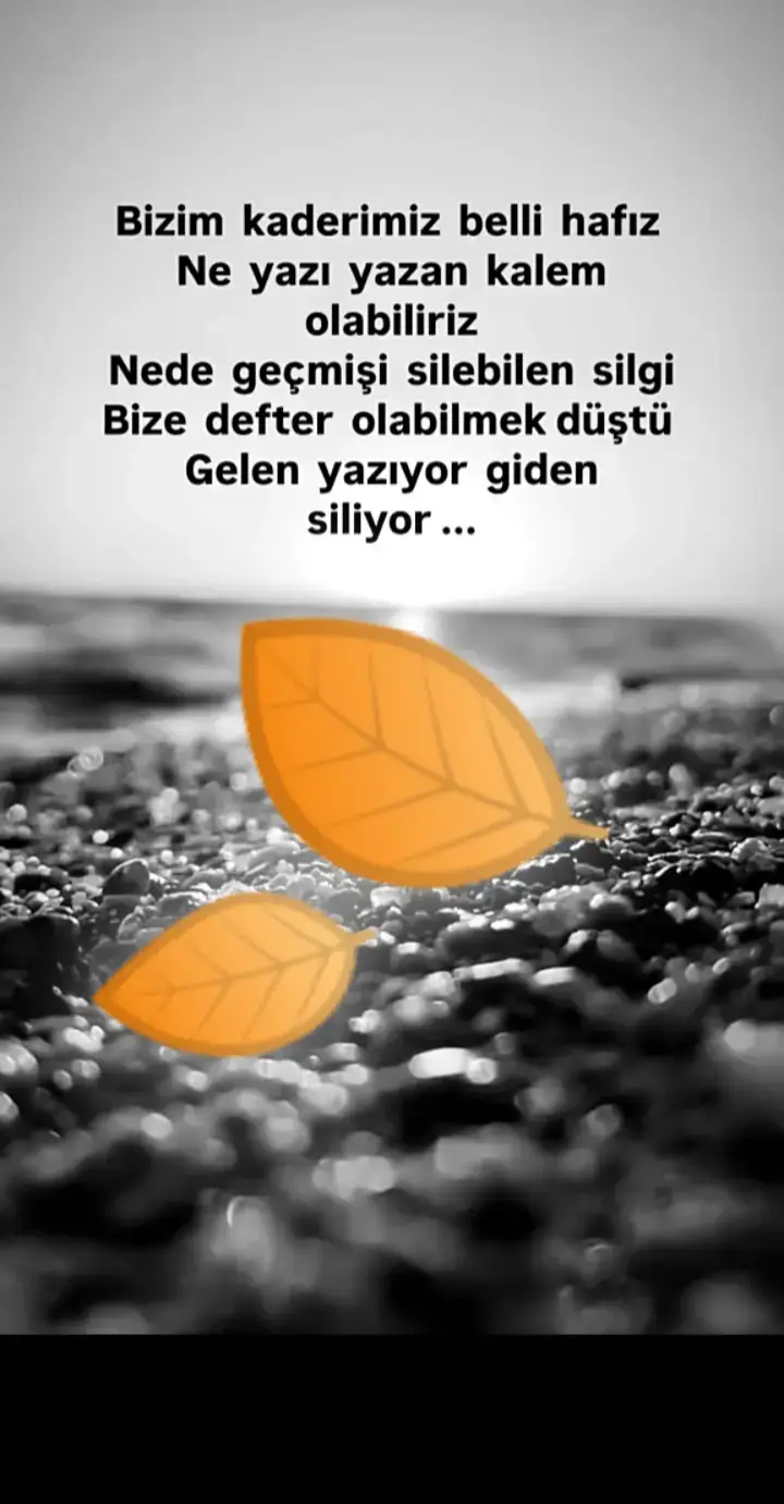 #💕 elbet bir gün 💕