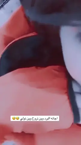 عندك حبيبه لا. 😅