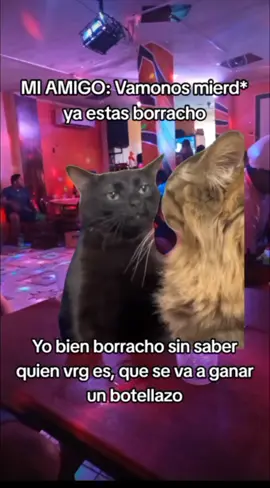 #amigos #memestiktok