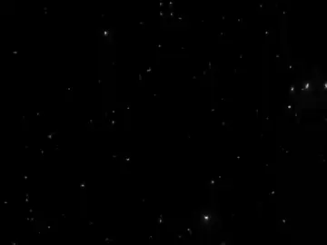 خرب يومه فلاونزه منين اجت 