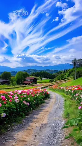 #vendecidapordios❤🧚🏼‍♂️💕🦋💐🌻☺️ #