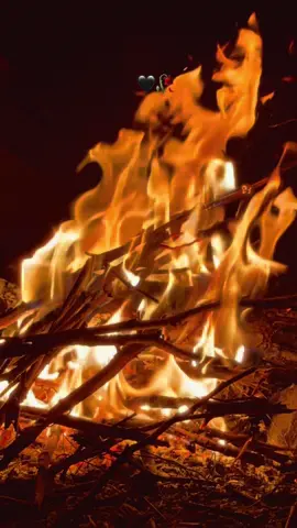 Geceye güzel bir söz bırak 🖤🕊️#fyp #acılıhikayeler #hüzünlüvideolar #anlamlısözler #🖤🕊️ 