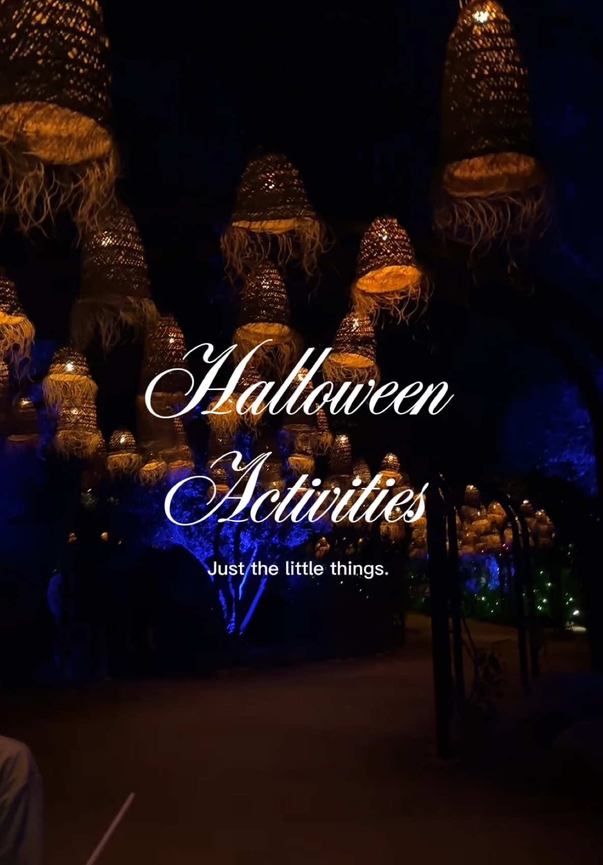 We went to Carved family a cute little activity, #carveddescansogardens 🔥🔥 RATED : 6/10