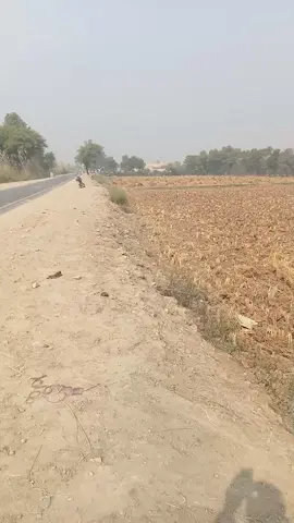 #foryou #tiktok #viralvideo #Mastoi #derawala❣️😘✌️💕 