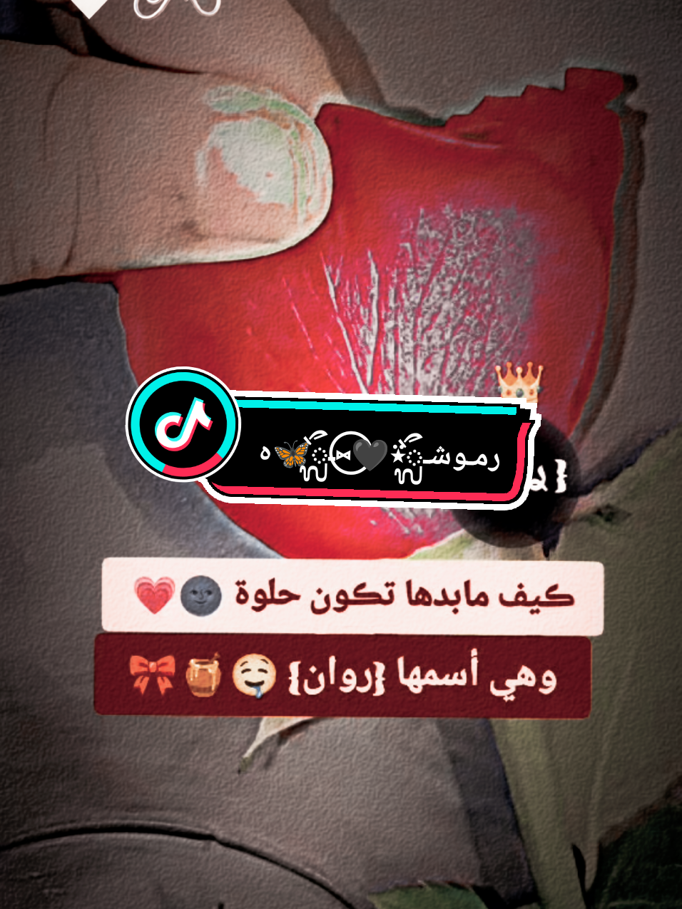 #ضيفوني #حسابي_الاحتياطي👈🏻 @ࢪمـوشـᬼ⍣🎀⑅⃝ـᬼ® 🦋هہ⛎ 