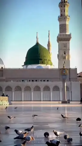 #الدعاء_بين_السجدتين 