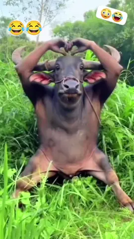 Selfie muna baw 😂😂 #funny #fyp #comedia #boymalakasinvlogs #fyppppppppppppppppppppppp 