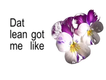 #speedsong #speedupsongs #nightcore #lyrics #fyp  @speed songs | lyrics 