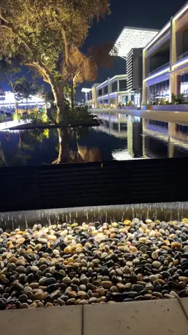 #مساء الخميس 