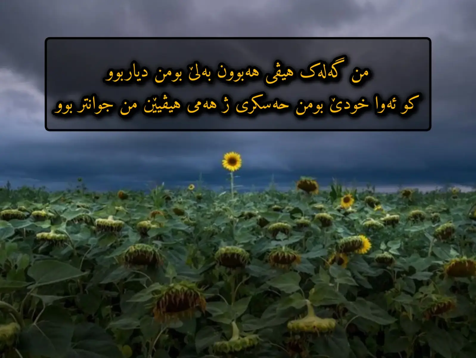 ژهەمی هیڤیێن من جوانتر بوو!😍 . . . #explore #islamic_video #الحمدالله_علی_کل_حال❤ #foryoupage #islamic 