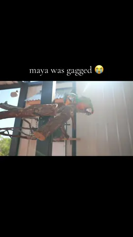 is this internalized homophobia? #katieb #realkatieb #alveussanctuary #fypシ゚ #xycba 