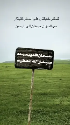 كلمتان خفيفتان على اللسان ثقيلتان #منشن #عبارات #اليمن🇾🇪المملكة🇸🇦 #trend #creatorsearchinsights 