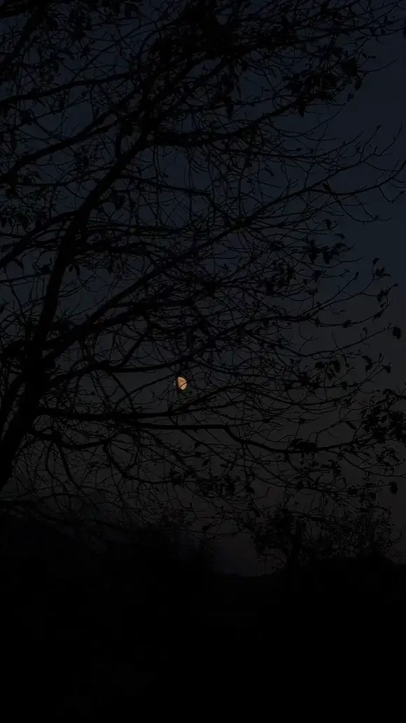 #حزيــــــــــــــــن💔🖤 #اكسبلورexplore❥🕊  #مجرد________ذووووووق🎶🎵💞 