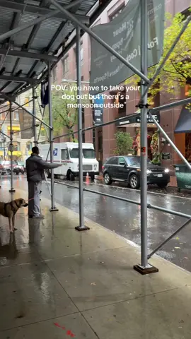 So close #dogparents #dogsoftiktok 