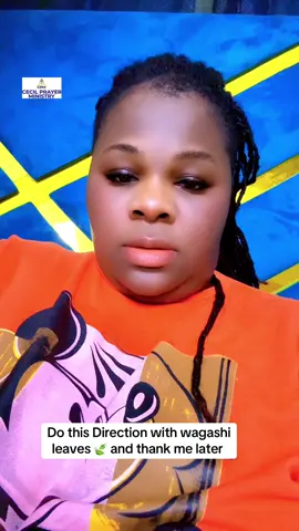 #creatorsearchinsights #cecilserwaabonsumusic #tiktok2025 