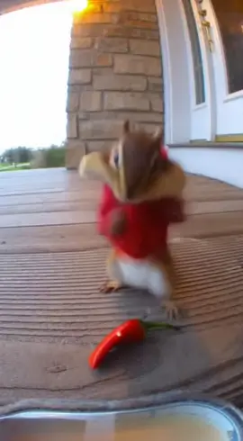 Alvin tries a pepper doesn’t go so well for him!!!#fyp #foryoupage #FYP #alvinandthechipmunks #spicy 