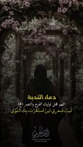 #دعاء_الندبة #حسينية_ميديا #اللهم_عجل_لوليك_الفرج #السلام_على_الحسين #اللهم_صل_على_محمد_وآل_محمد 