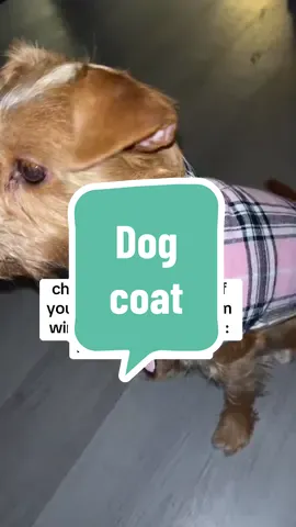 USE CODE: KUOSA5K1MT7X for $5 coupon. These Winter coats are so warm your dogs will be warm during the cold months and they come in different colors #dogs #dogsoftiktok #dogcoat 