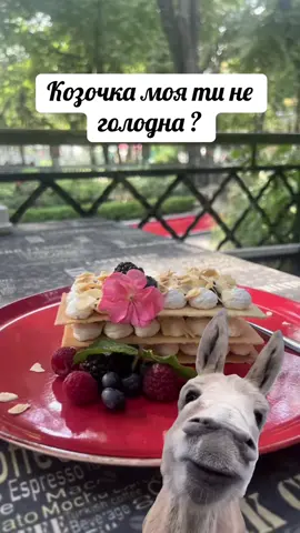 #MemeCut #MemeCut #Meme #MemeCut 