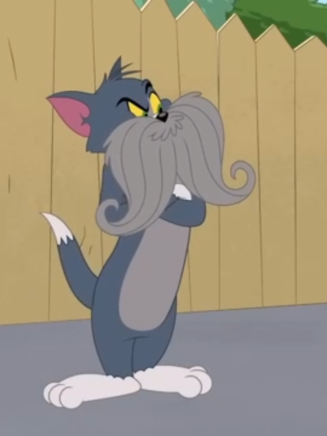 Tom and Jerry Full Episode funny Cartoon 😂😂 #cartoon #cartoonnetwork #fypシ #foryoupage #tomandjerry 