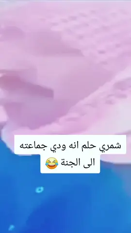 شمري حلم انه ودي جماعته الى الجنة 😂: كوميديا #تريند #طاش #مسلسلات_خليجية #الكويت 