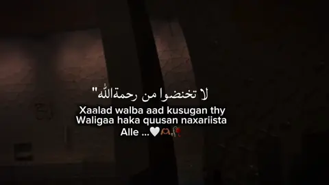 Haka quusan marna..😢🫶🏾🤍🙅‍♂️#القران_الكريم_راحه_نفسية #foryoupage #islamic_video #somalitiktok12 #allmuslims 