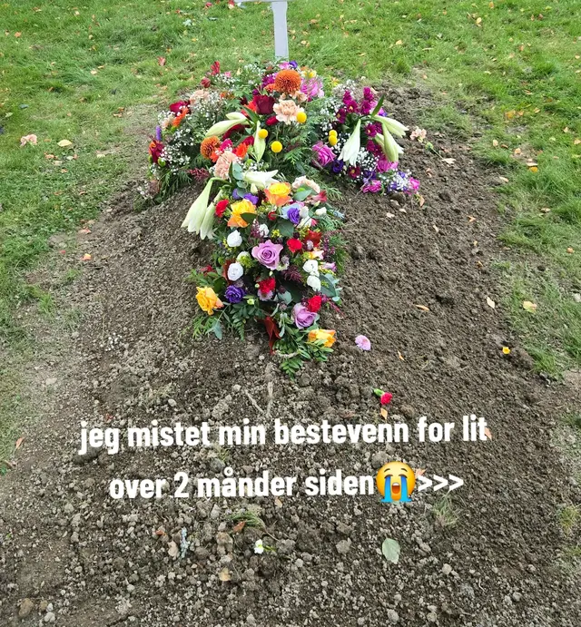 Trist delen av livet mitt😭 #bestfriend  #sadstory  #life  #missyou 