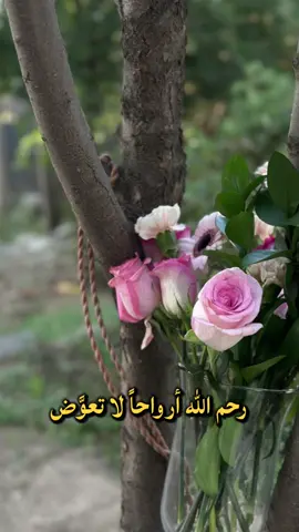 #CapCut #ليلة_جمعة_مباركة #صلوا_على_رسول_الله #صلى_الله_عليه_وسلم_تسليما_كثيرا 