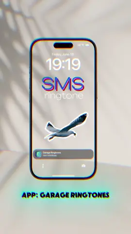 Bird SMS ringtone 🤩🐥 #sms #notification #ringtone