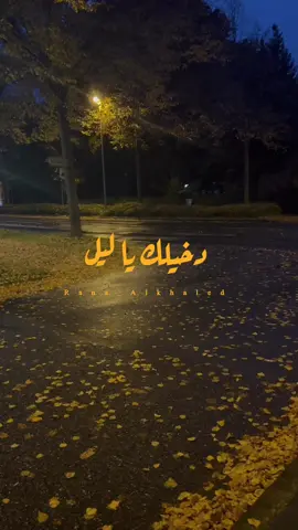 دخيلك يا ليل ... 🧡🍂                         #وائل_كفوري 