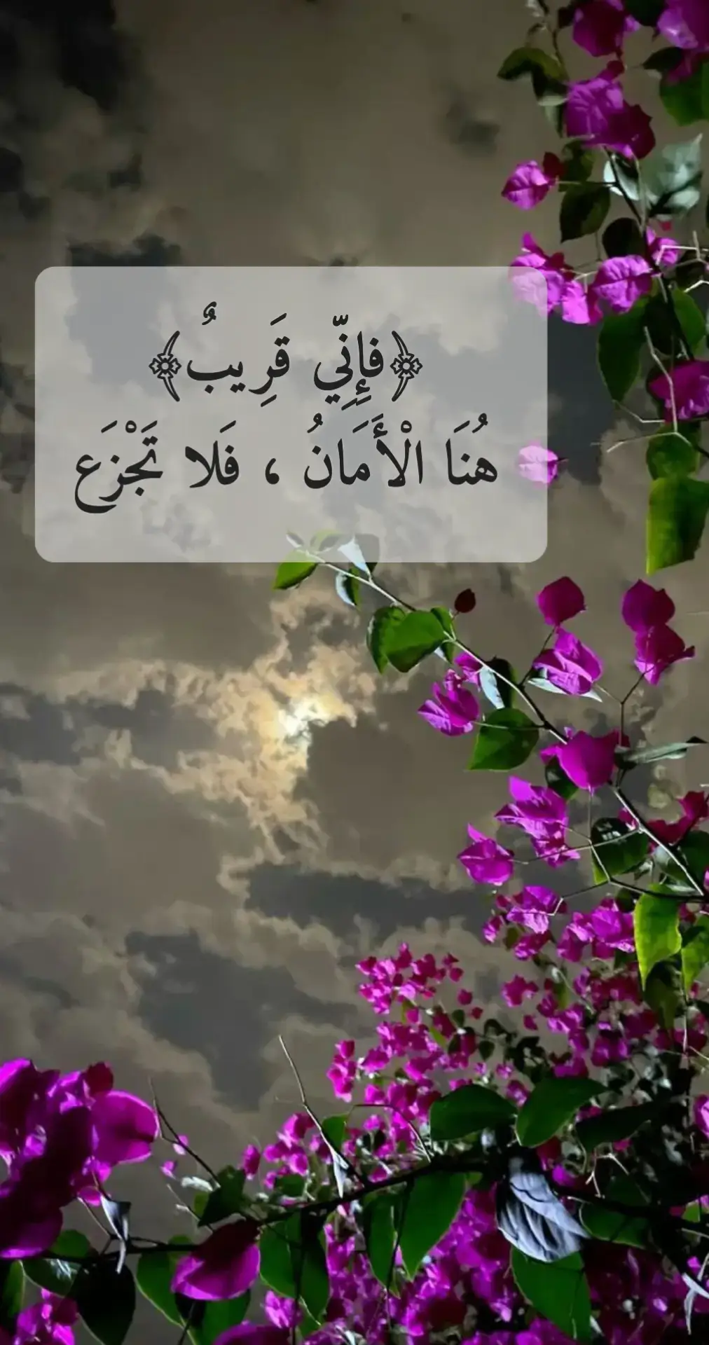 #ارح_سمعك_بالقران #قران_كريم #لايك_متابعه_اكسبلور_كومنت_فولو_ #اكسبلورexplore #foryoupage 