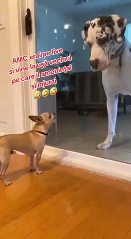 #hate #Jmekeri #Live #Adevarat #Bosssss 